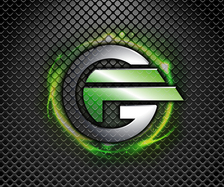 Garage Force logo