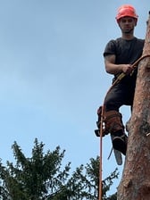 Avatar for CH tree service