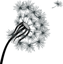Avatar for California Interiors