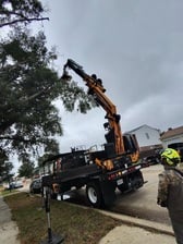 Avatar for Tree Huggers Tree Service