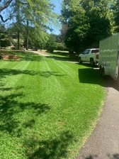 Distinct Landscape Management logo