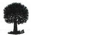 ADM Tree Services, LLC logo