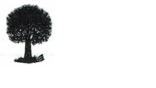 Avatar for ADM Tree Services, LLC