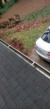 Junes Professional Gutter Cleaners logo
