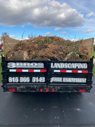 3 Bros Landscaping logo