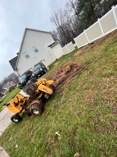 Ramirez Tree Service & Stump Removal logo