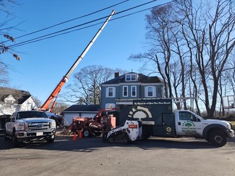 J&A Brothers Tree Service & Landscaping logo