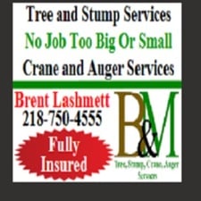 Avatar for B&M Tree & Stump Removal