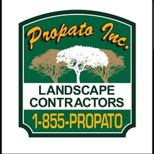 Logo for Propato Corporation