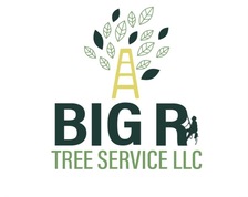 Logo for Big R Tree Service, LLC