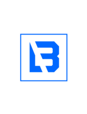 Blue Level Construction Consulting, LLC logo