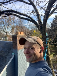 Iron Will Landscaping logo