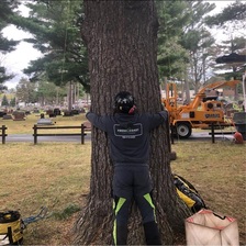 Avatar for Fresh Coast Tree Care