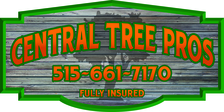 Logo for Central Tree Pros