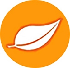 PeachTree Plus Services, LLC logo