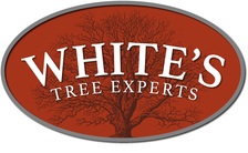 Logo for White's Tree Experts
