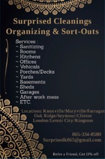 Avatar for Surprised Cleanings, Organizing & Sort-Outs