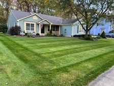 Logo for Dutch Brothers Lawncare