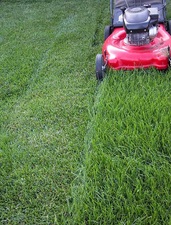 Foxx Lawn Maintenance logo