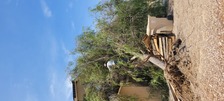 Avatar for Active Greencare
