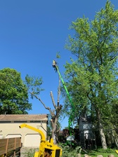Logo for Top Chop Tree Service and Landscaping, LLC