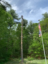 East Coast Tree Fellers, LLC logo