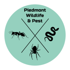 Avatar for Piedmont Wildlife & Pest Management, LLC