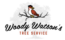 Logo for Woody Watson's Tree Service