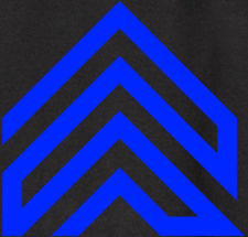 Avatar for Salls Build