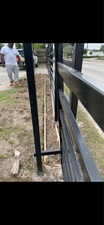 Quality ants construction logo