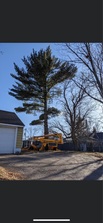 Avatar for Cordie Excavating, LLC
