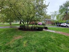 E.M. Landscaping Source logo