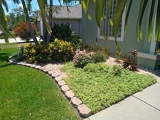 Avatar for True Vine Landscape