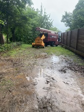 Logo for Top Notch Tree Care