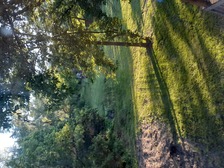 Avatar for K&T Landscaping and Snow Removal - Home Facebook