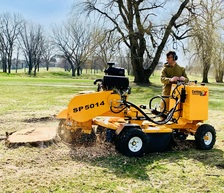 Logo for R&B Stump Removal