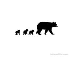 Avatar for Little Bear Wildlife Services Facebook