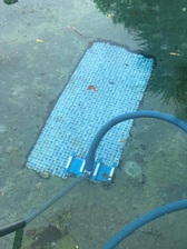 Avatar for Pristine Clean Pool's - Home Facebook