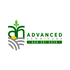 Avatar for Lively landscape