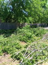 Avatar for Jon Stewart Tree Service