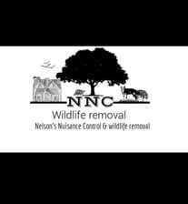 Logo for Nelson's Nuisance Control and Wildlife Removal
