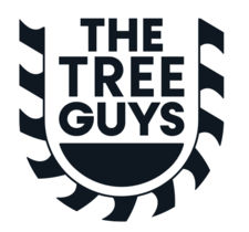 The Tree Guys logo