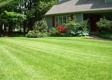 Avatar for Yordy's Mowing Service