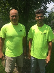 DiNallo Landscaping, Inc. logo