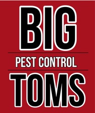 Logo for Big Tom's Pest Control