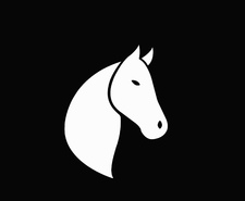 Mustang Fencing & Remodeling logo