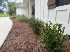 Avatar for Andrews Lawn & Garden LLC