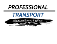 Professional Transport, LLC logo