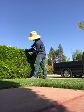 Mendes Irrigation Repairs-Unlicensed Contractor logo