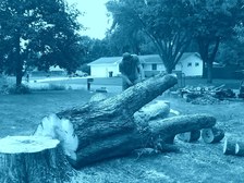 Avatar for Leslie Tree Trunk